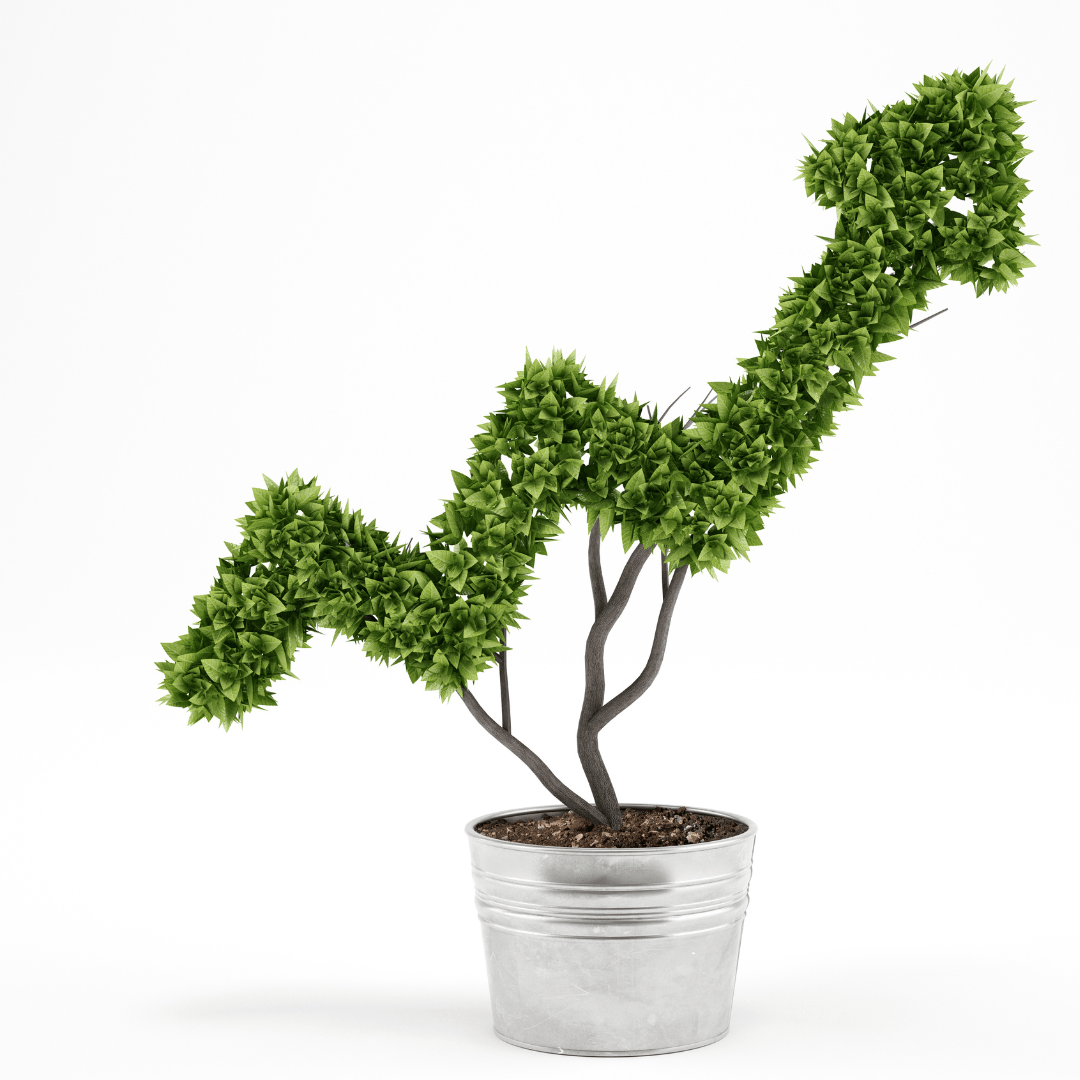 marketing voor groeiers
